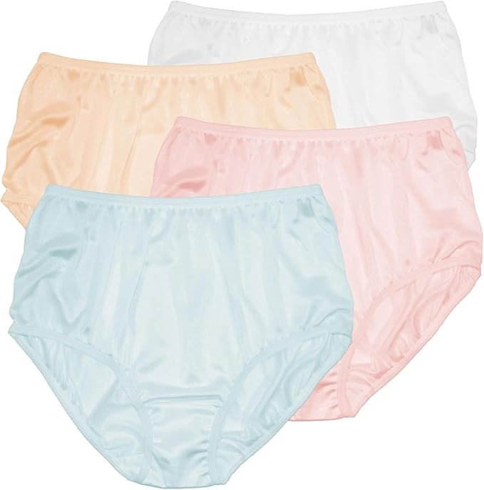 Teri Women's 331 Plain Jane Classic Nylon Silky-Smooth Lightweight Breathable Full Coverage Brief Panty - 4 Pack